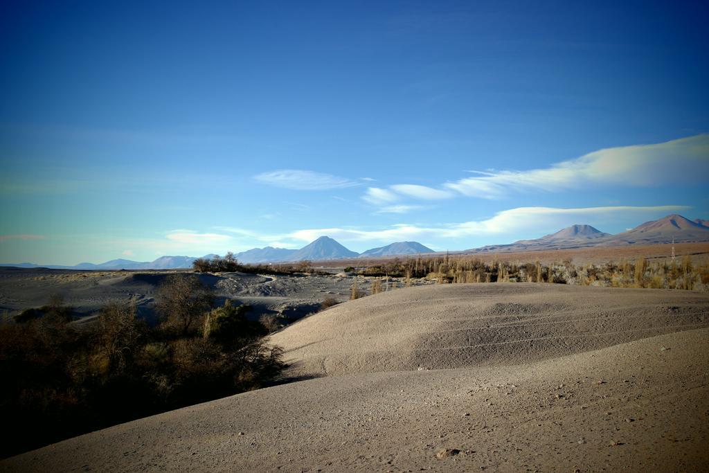 Complejo Turistico El Toconar Alojamento Toconao